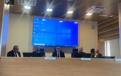 Conferenza regionale della Puglia – Tavola rotonda “Verso la direttiva europea: PPP e il RUP come Project Manager”